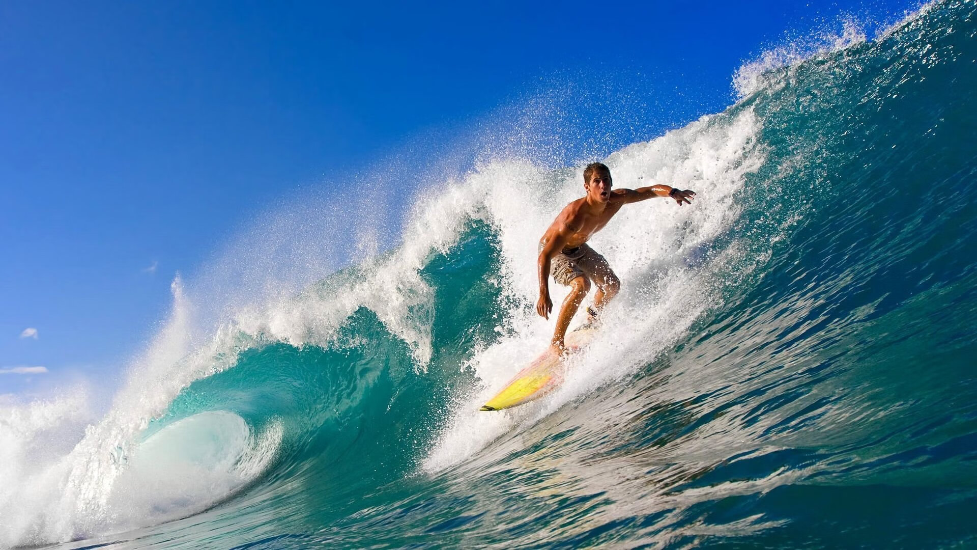 _世界青年赛：未来冠军的摇篮，期待无限_，世界青年锦标赛年龄限制